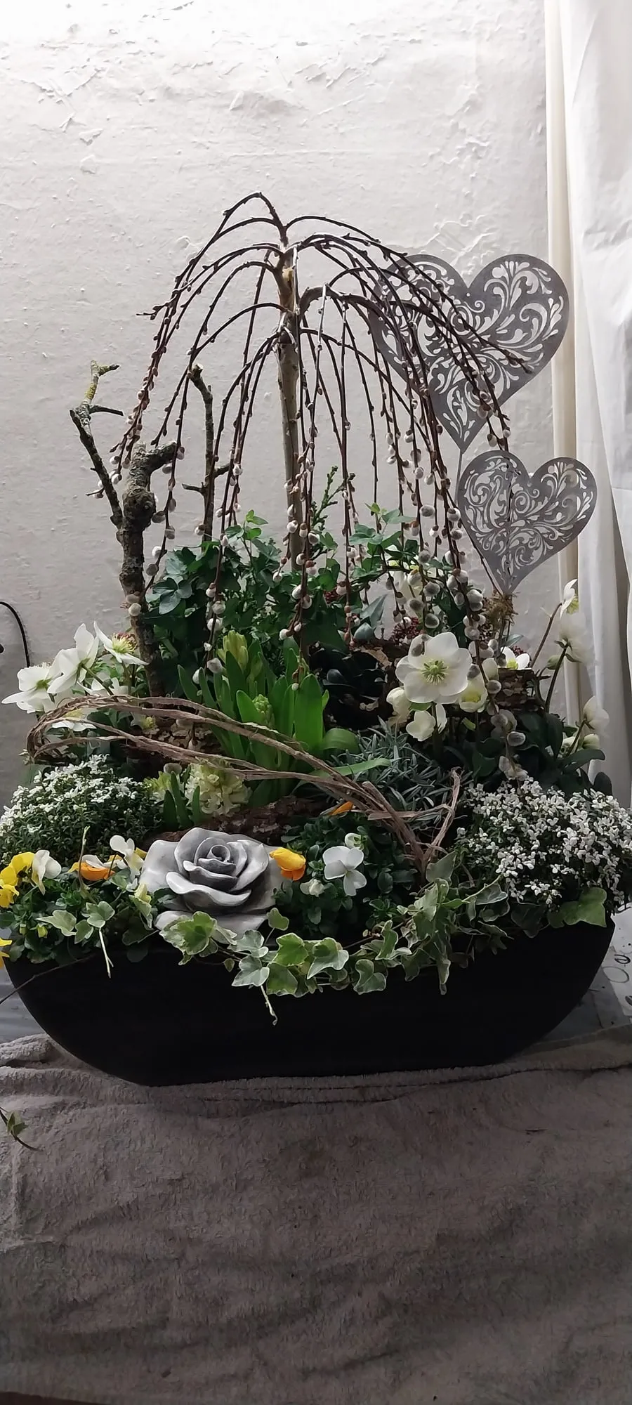 Bepflanzte Frühlingsschale mit Christrosen und Zweigen